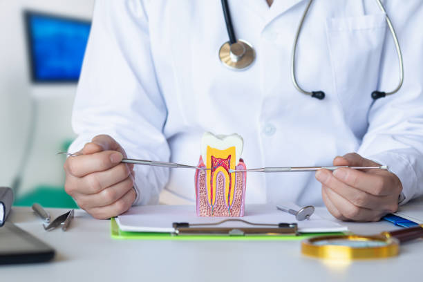 Best Emergency Dental Extractions in Mount Airy, NC
